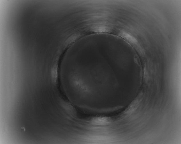 X0000090710202200707201221