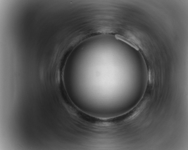 X0000090710205200707201221