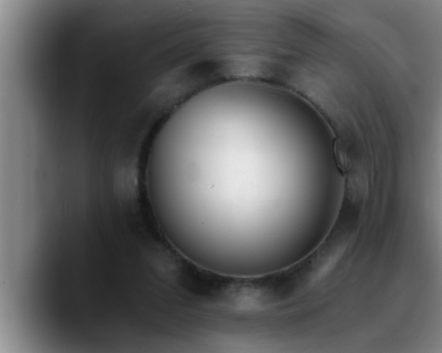 X0000090710207200707201221