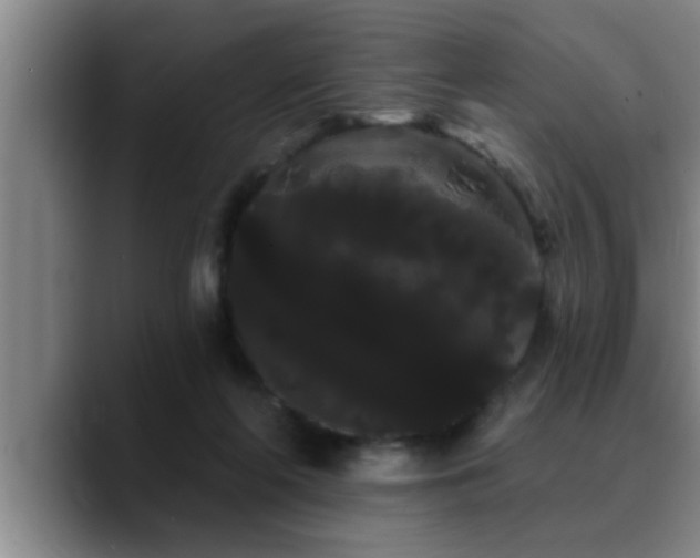 X0000090710214200707201221