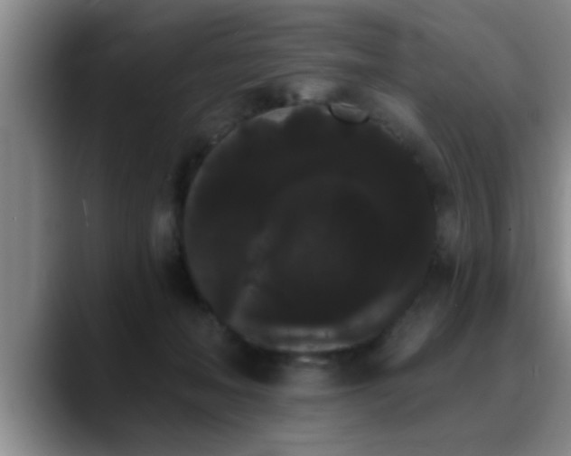 X0000090710222200707201221