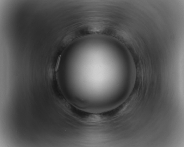 X0000090710227200707201221