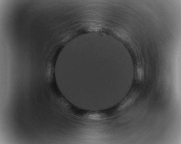 X0000090710228200707201221