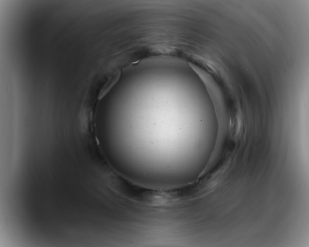 X0000090710229200707201221