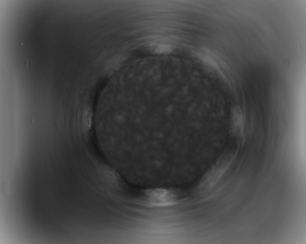 X0000090710230200707201221