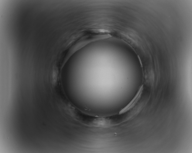 X0000090710231200707201221