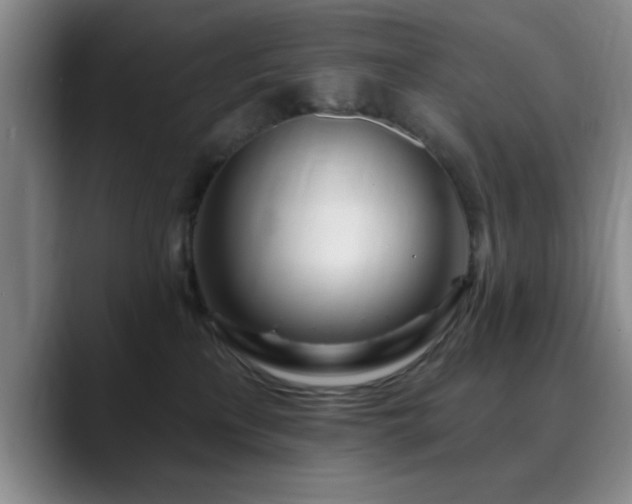 X0000090710233200707201221