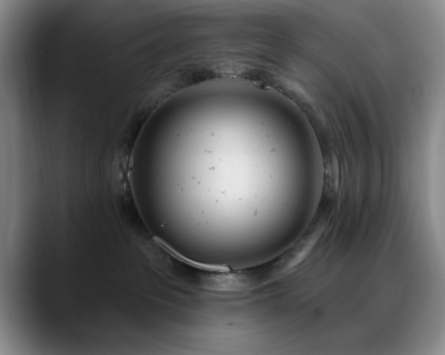 X0000090710237200707201221