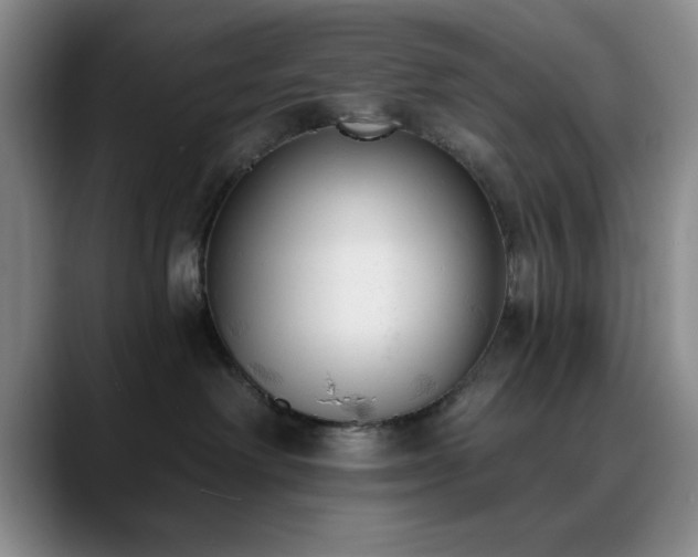 X0000090710238200707201221