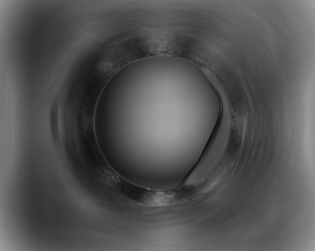 X0000090710239200707201221