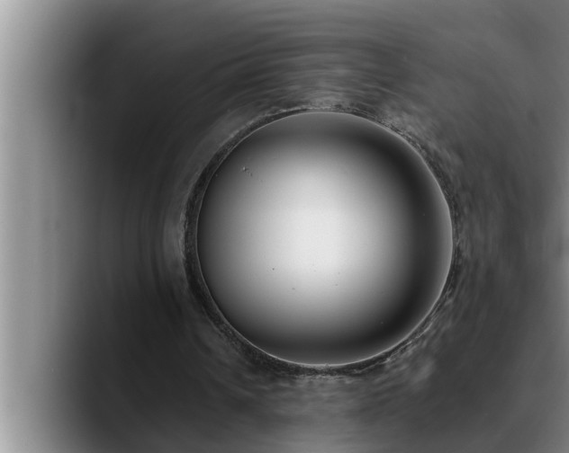 X0000090710242200707201220