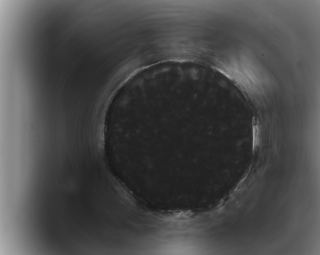 X0000090710243200707201220