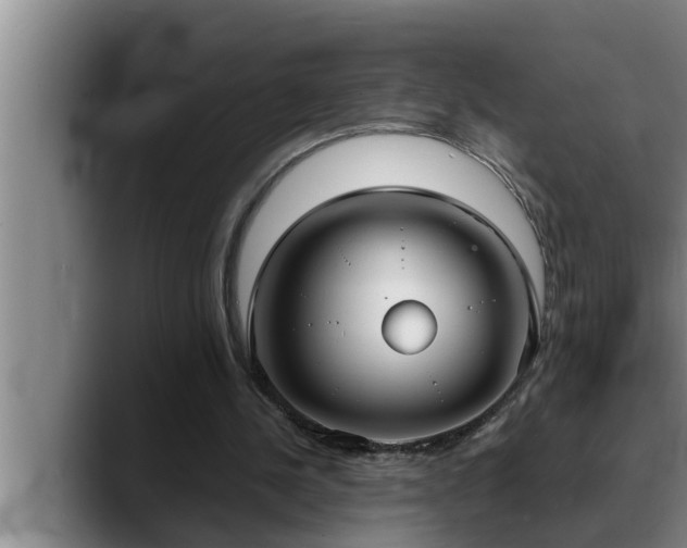 X0000090710244200707201220