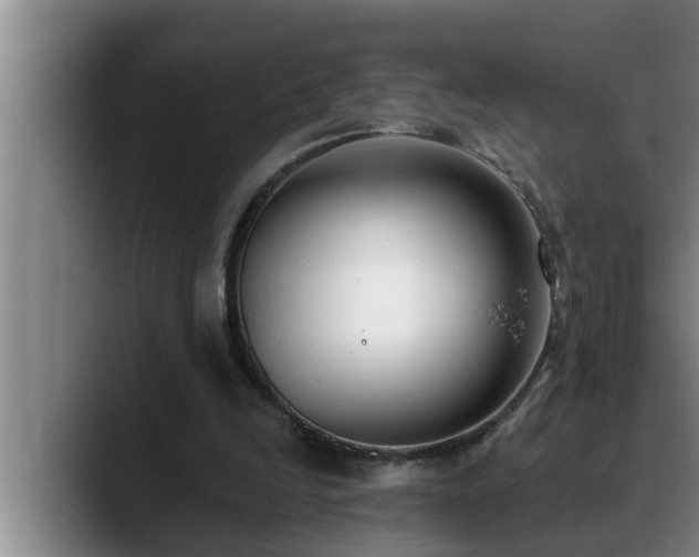 X0000090710246200707201220