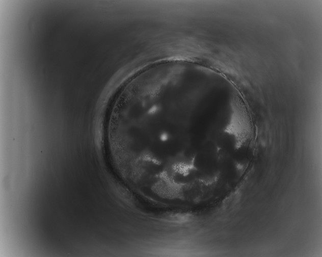 X0000090710247200707201220