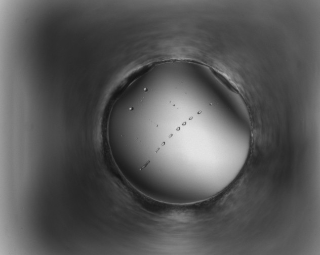 X0000090710248200707201220