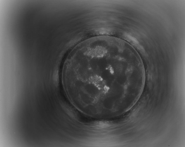 X0000090710250200707201220