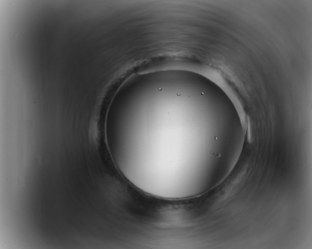 X0000090710252200707201220