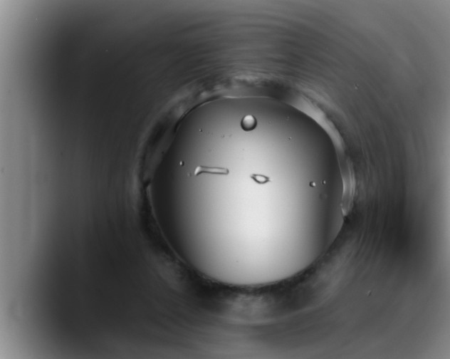 X0000090710256200707201220