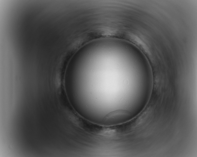 X0000090710257200707201220