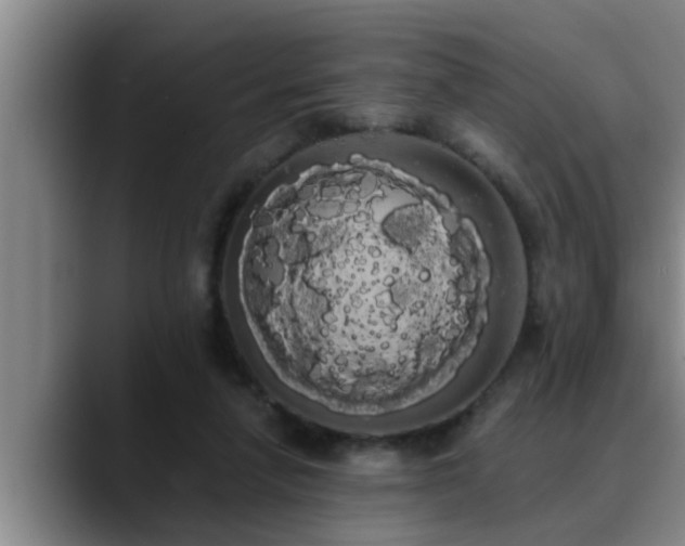 X0000090710258200707201220