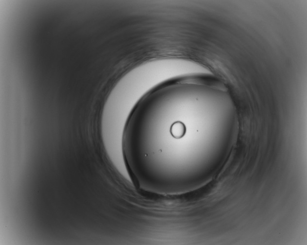 X0000090710260200707201220