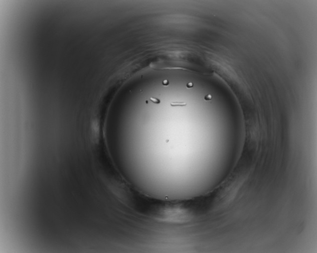 X0000090710262200707201221