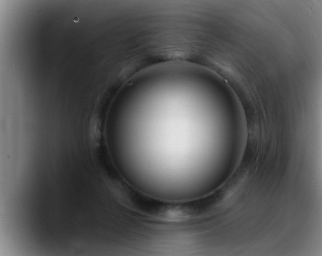 X0000090710264200707201221