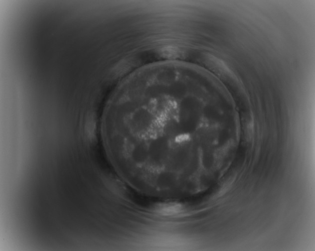 X0000090710266200707201221