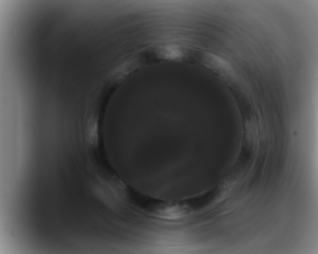 X0000090710267200707201221