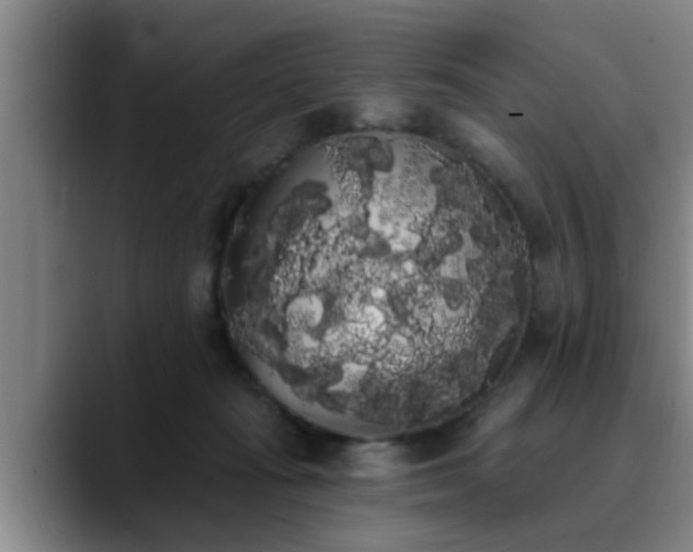 X0000090710269200707201221