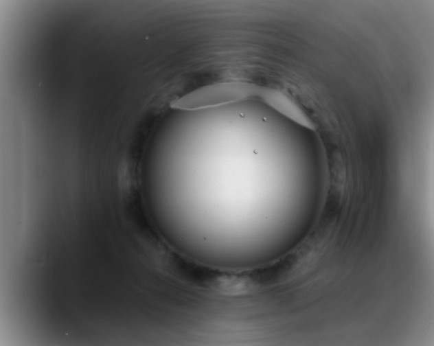 X0000090710272200707201221