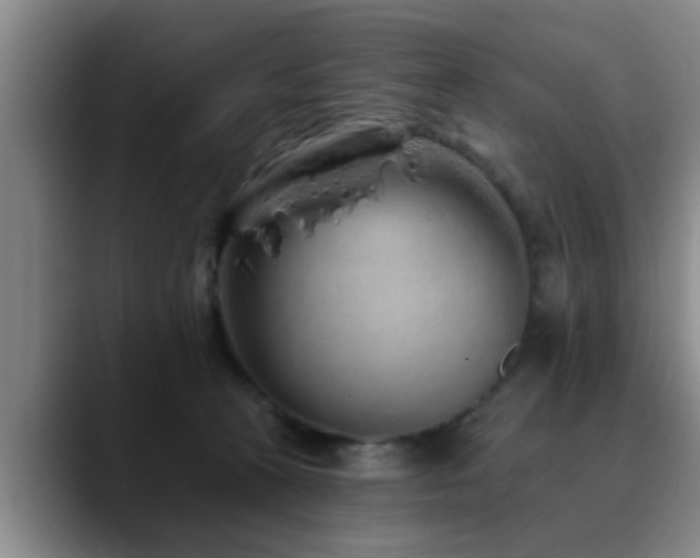 X0000090710273200707201221