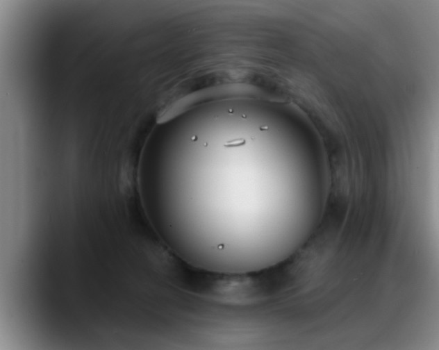 X0000090710274200707201221