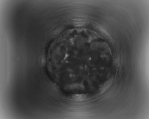 X0000090710277200707201221