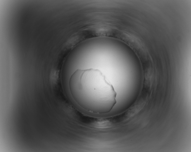 X0000090710278200707201221