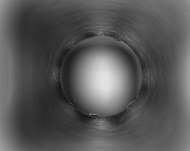 X0000090710280200707201221