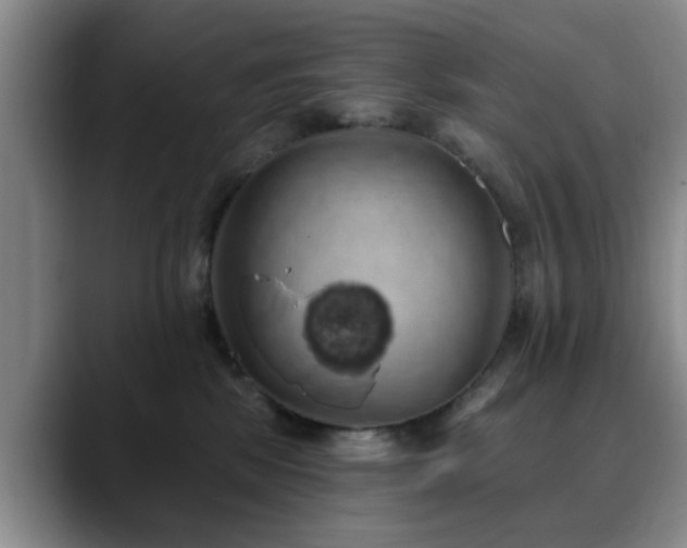 X0000090710281200707201221