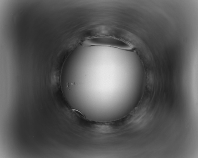 X0000090710284200707201221