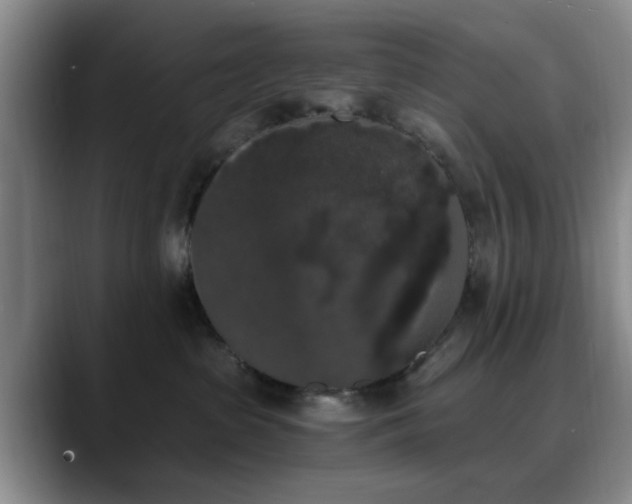 X0000090710285200707201221