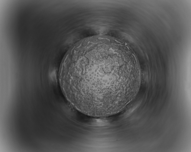 X0000090710286200707201221