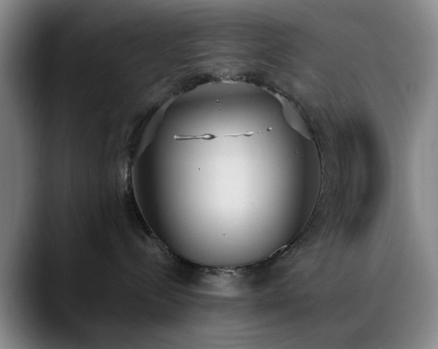 X0000090710288200707201221