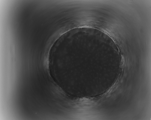 X0000090710290200707201220