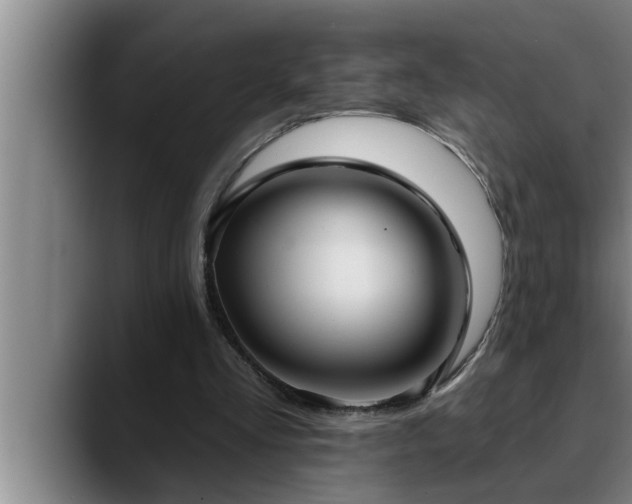 X0000090710293200707201220