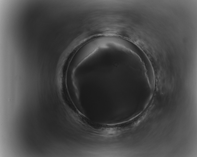 X0000090710295200707201220