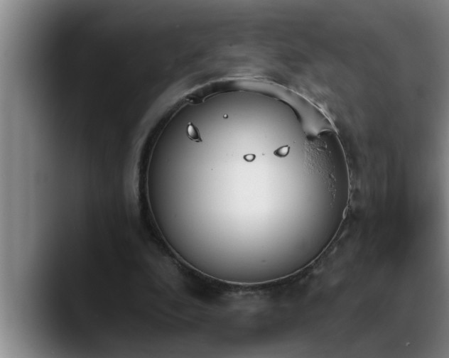 X0000090710296200707201220