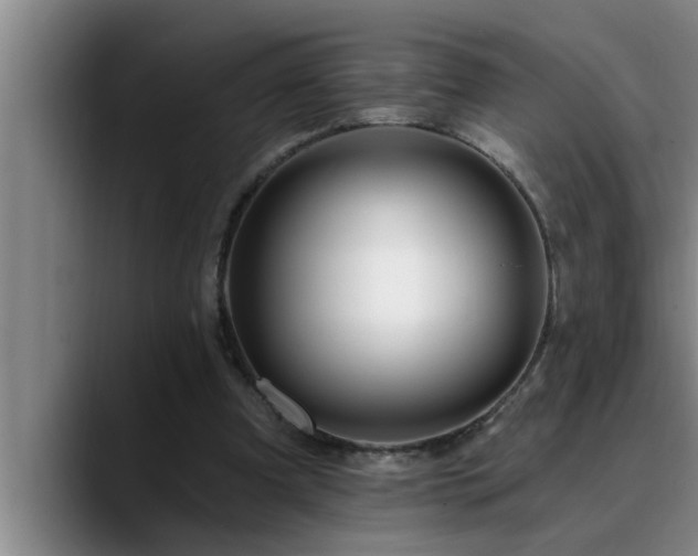 X0000090710297200707201220