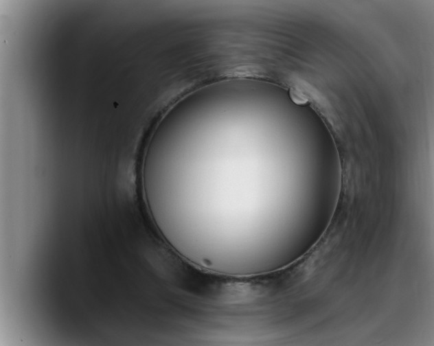 X0000090710298200707201220