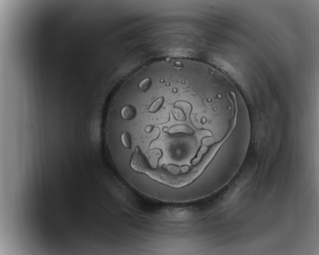 X0000090710299200707201220