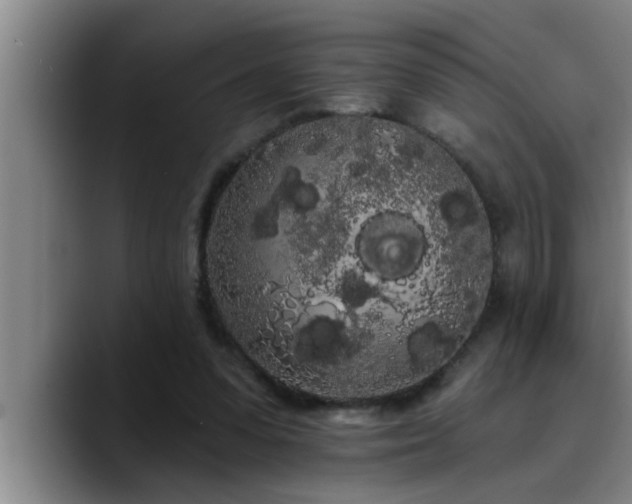 X0000090710303200707201220